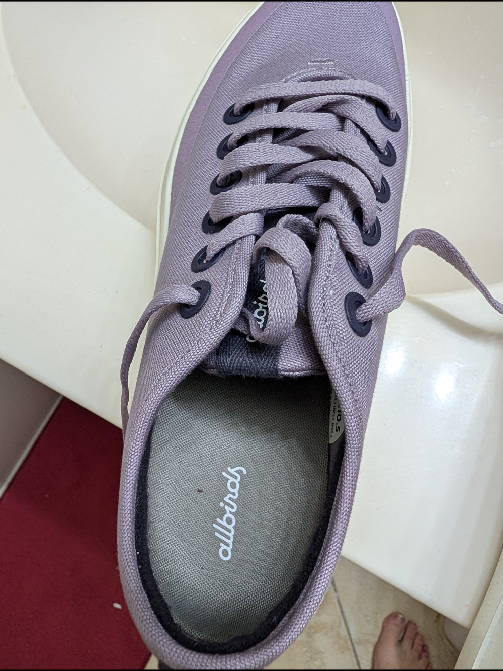 allbirds Women’s Lavender Canvas Low-Top Sneaker - Soft Purple